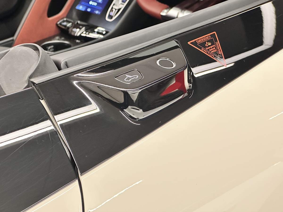 CYBERSTER 250KW TROPHY SINGLE MOTOR 77 KWH 2DR AUTO CONVERTIBLE