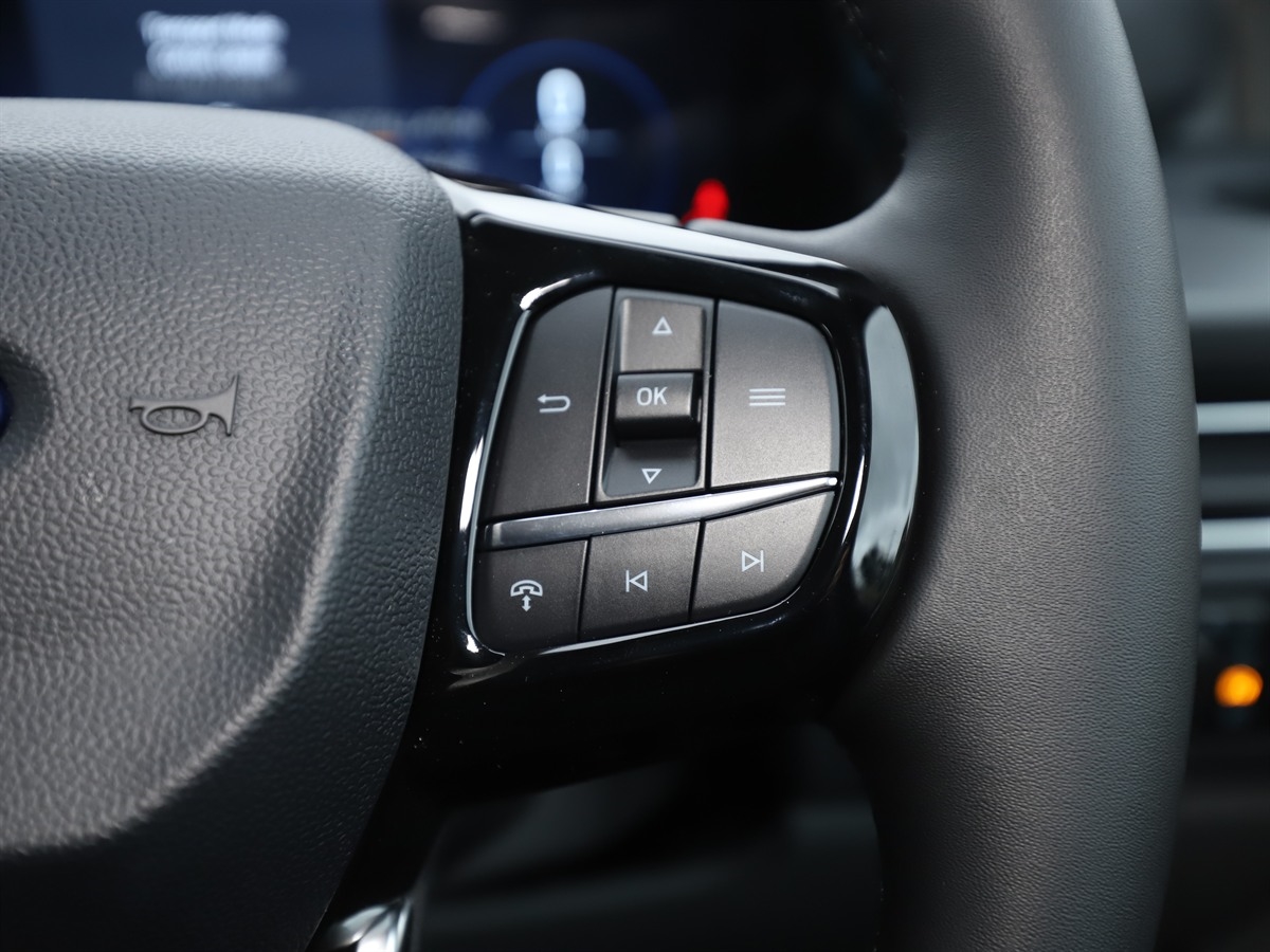 ECOBLUE 136PS H1 8 SEATER