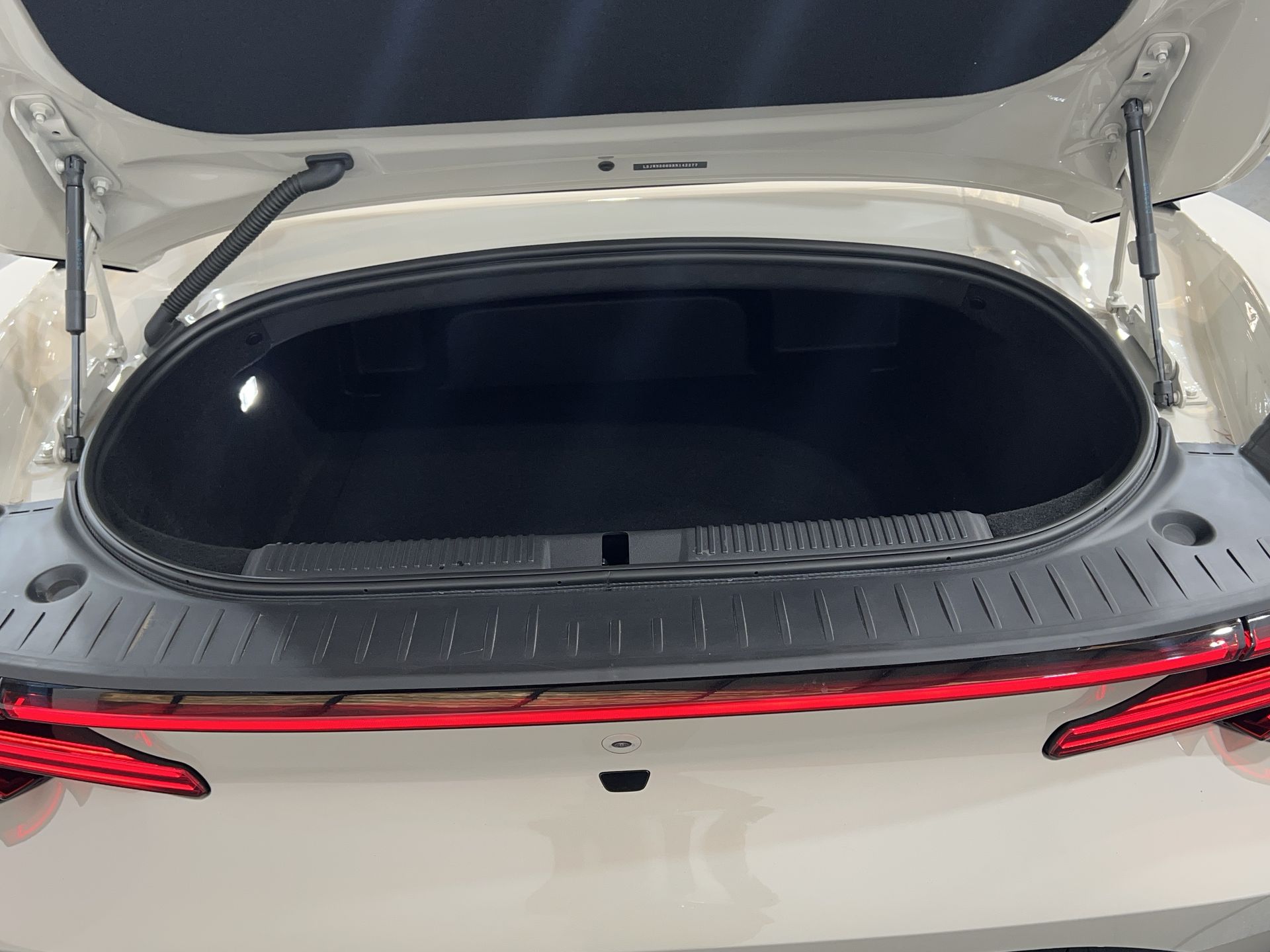 CYBERSTER 250KW TROPHY SINGLE MOTOR 77 KWH 2DR AUTO CONVERTIBLE