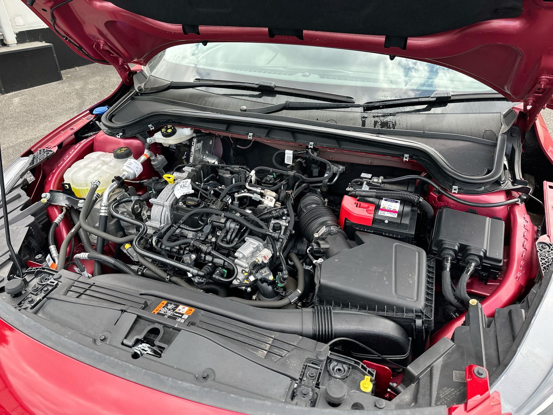 ECOBOOST HYBRID MHEV 155 TITANIUM VIG