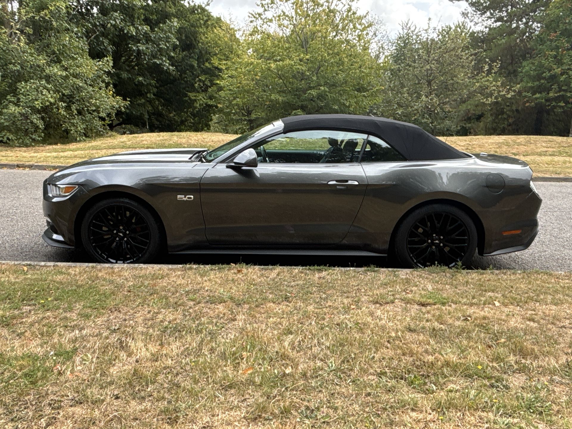 V8