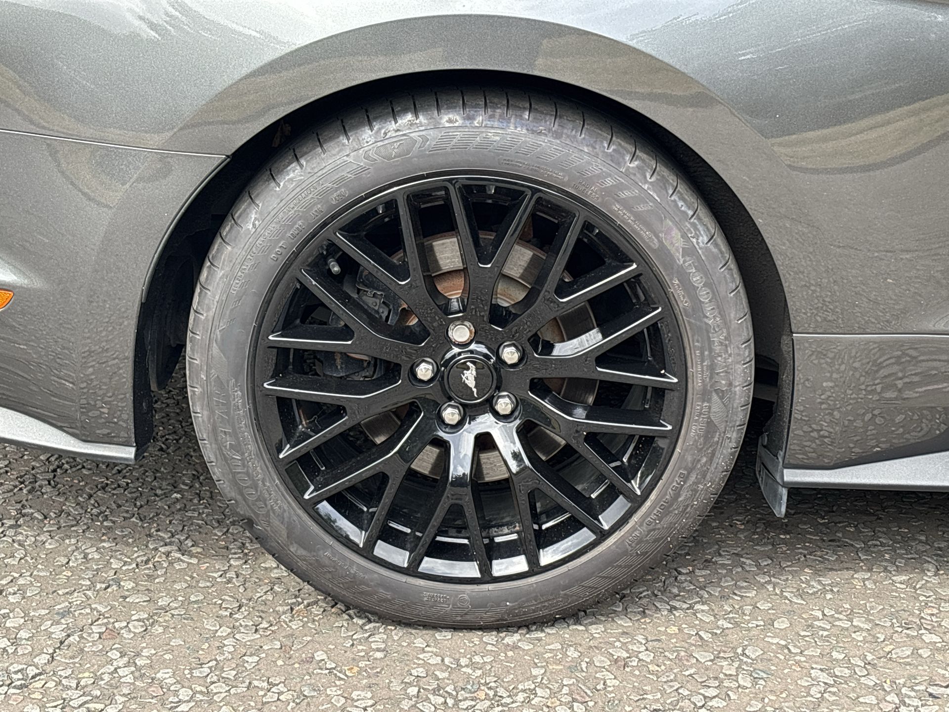V8