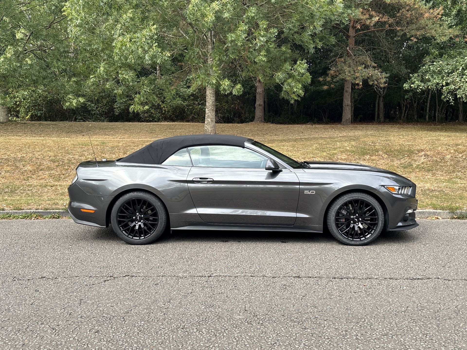 V8