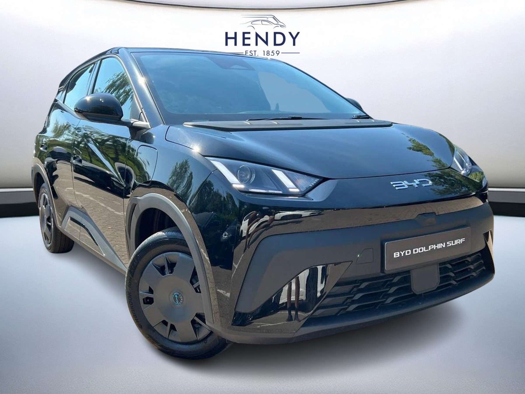 2026 Byd Dolphin Surf
